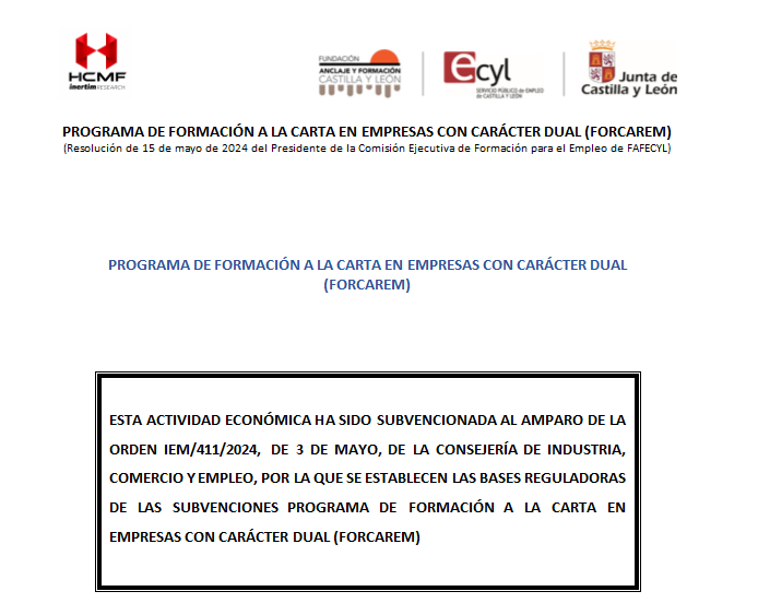 Tailored Training Programme for Companies with a Dual Training Approach FORCAREM